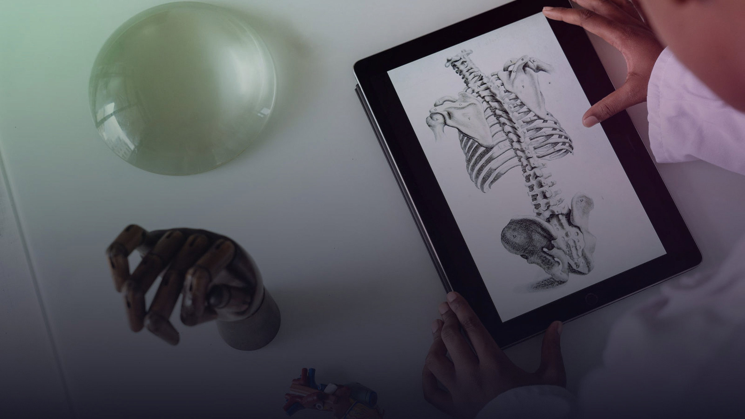 Illustrative image for: voka 3d anatomy pathology.